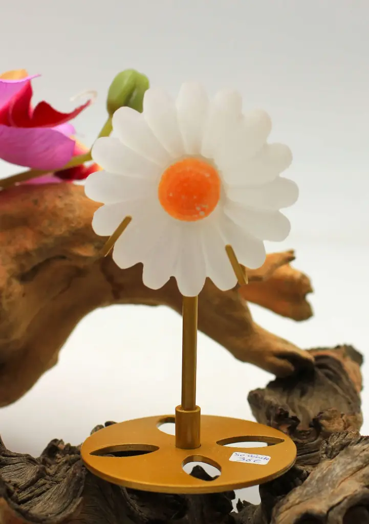 Marguerite en Sélénite sur pied