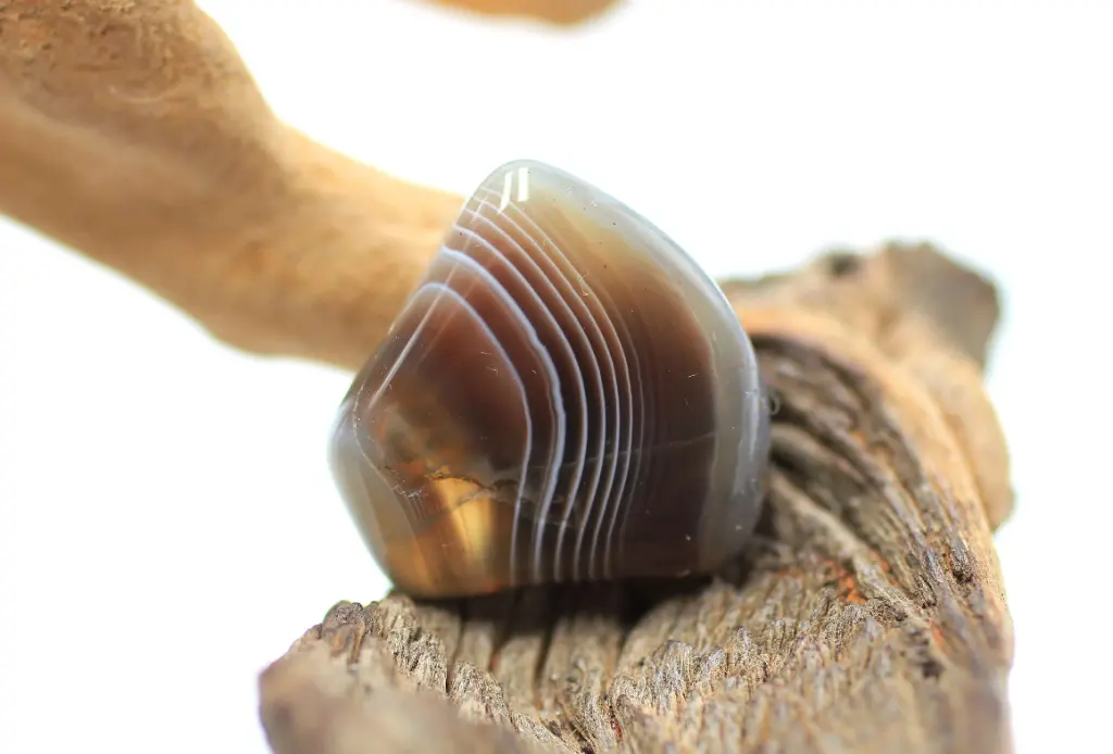 Agate du Botswana roulée