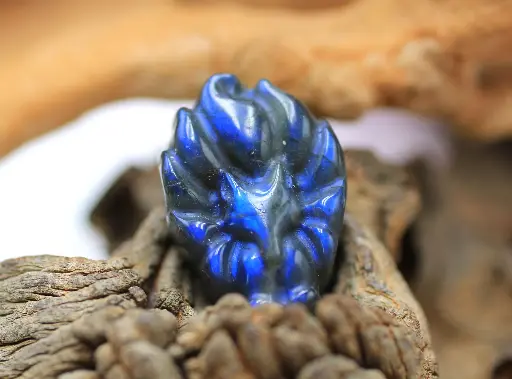 Renard à neufs queues en Labradorite