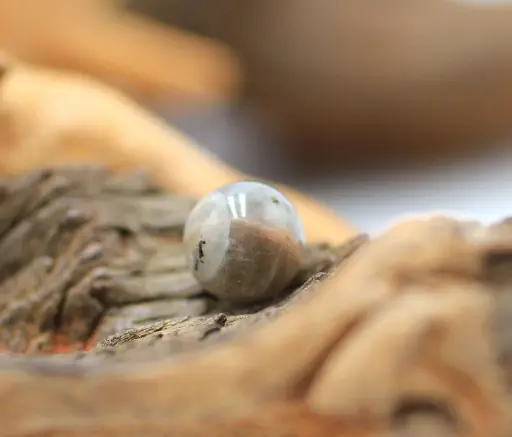 Perle 10mm en Labradorite