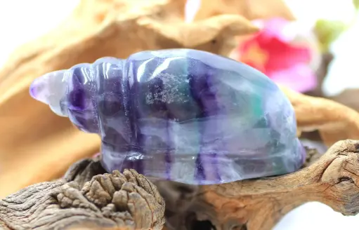 Coquillage en Fluorite arc-en-ciel