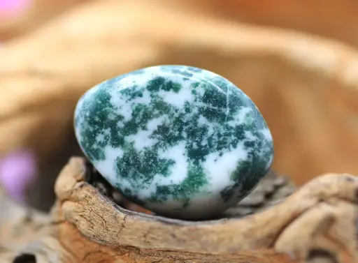 Agate arbre roulée