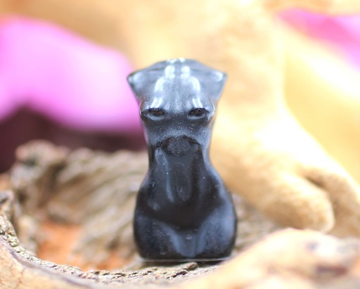 Buste de femme en Obsidienne noire