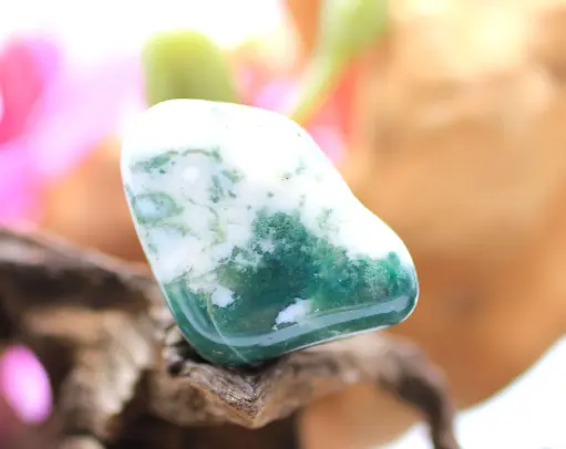 Agate arbre roulée