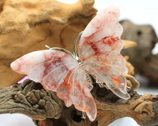 Papillon en Quartz hématoïde