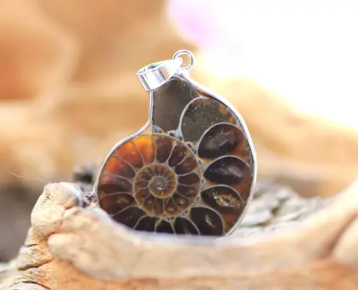 Pendentif en Ammonite