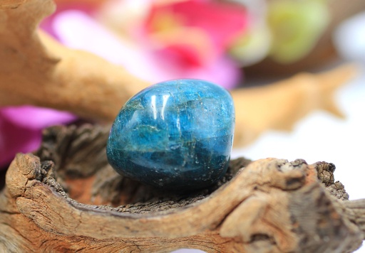 Apatite bleue roulée