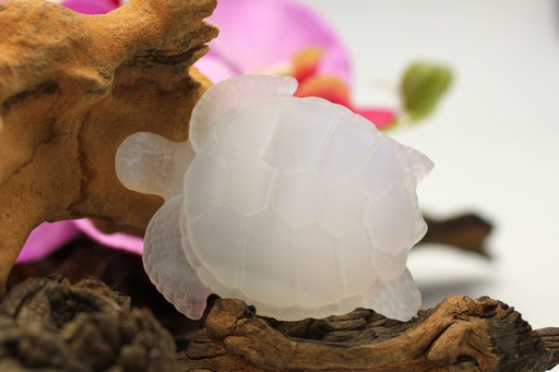 Tortue en Sélénite