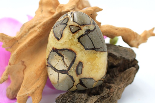 Rocher en Septaria