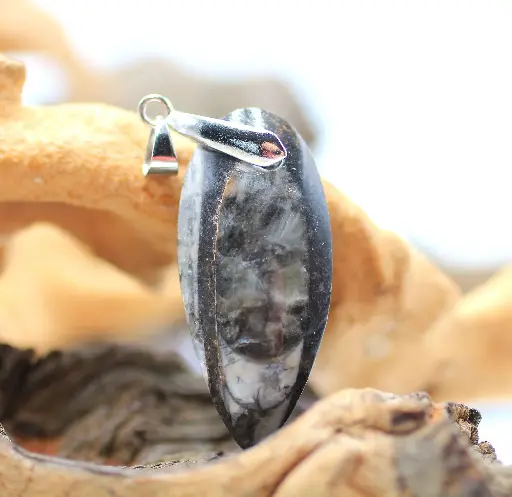 Pendentif en Orthoceras