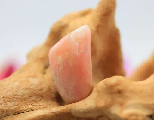 Opale rose roulée